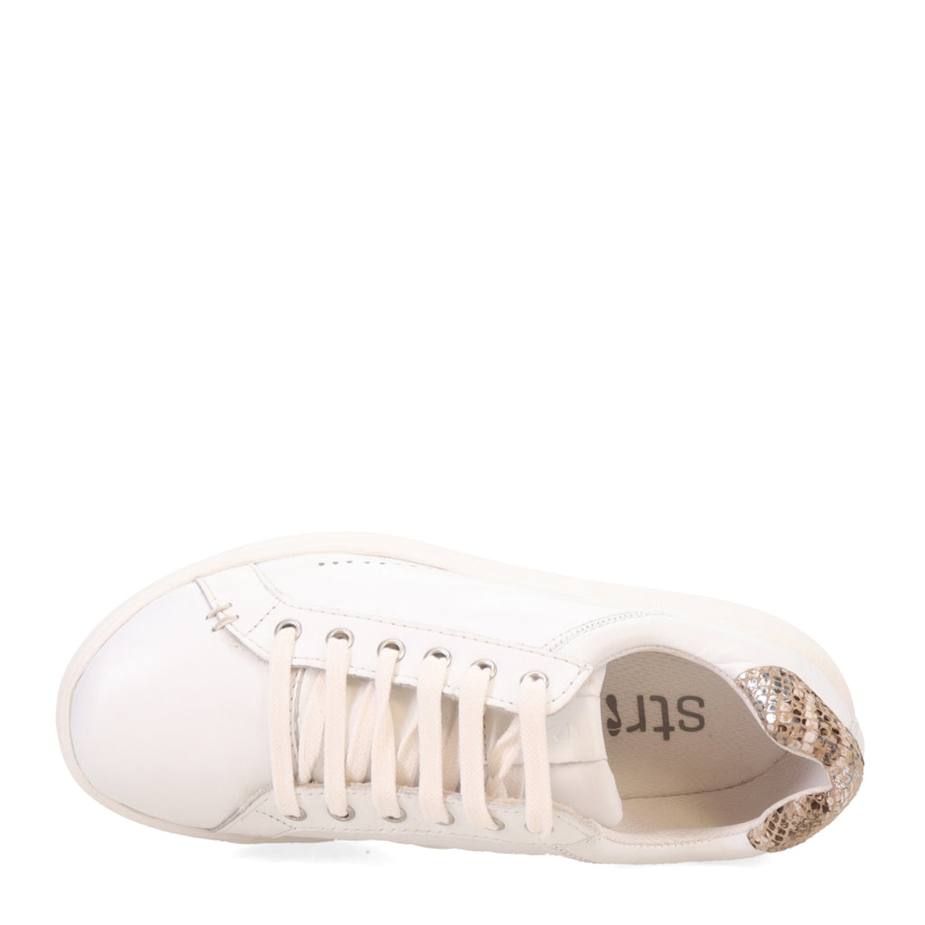 Women's Strive, Dakota Sneaker
