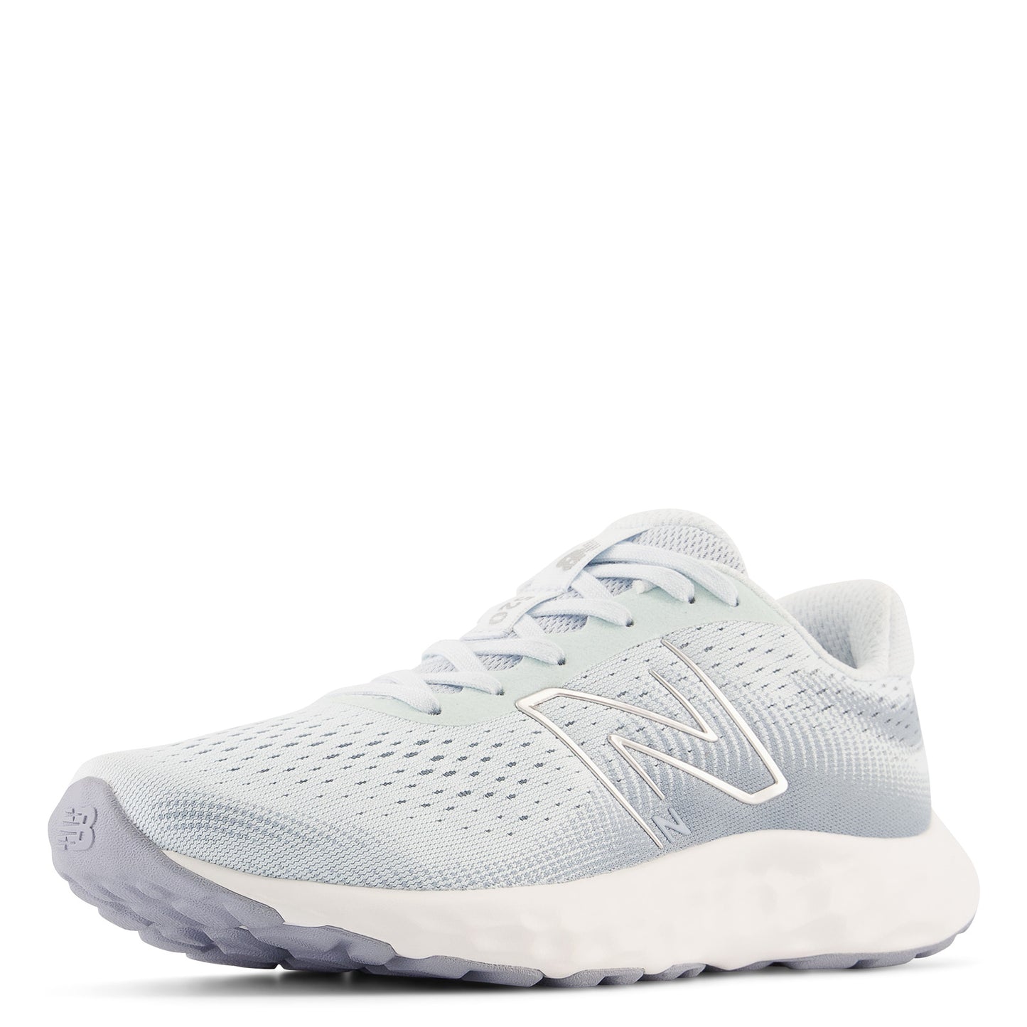 Peltz Shoes Women's New Balance 520v8 Running Shoe ICE W520LN8