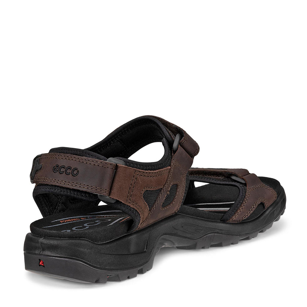 Men's Ecco Yucatan Sandal MOCHA 069564-58290