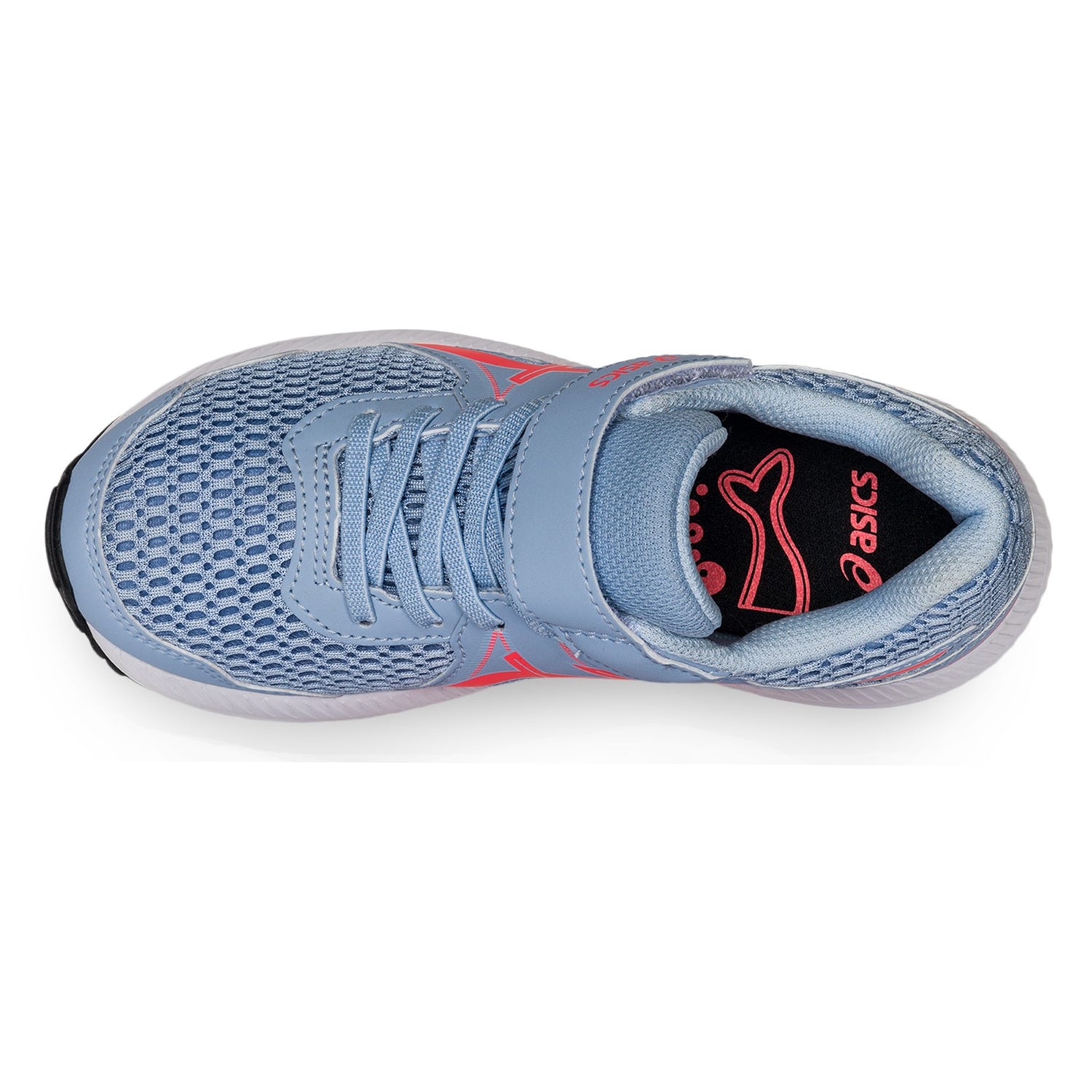 Peltz Shoes  Girl's ASICS Contend 7 PS Running Shoe - Little Kid MIST/CORAL 1014A194.406