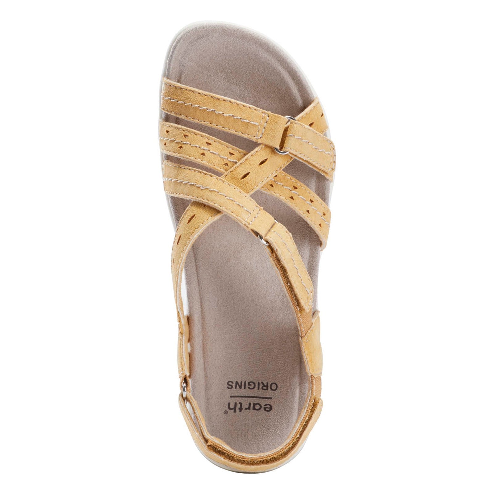 Earth savoy sammie online