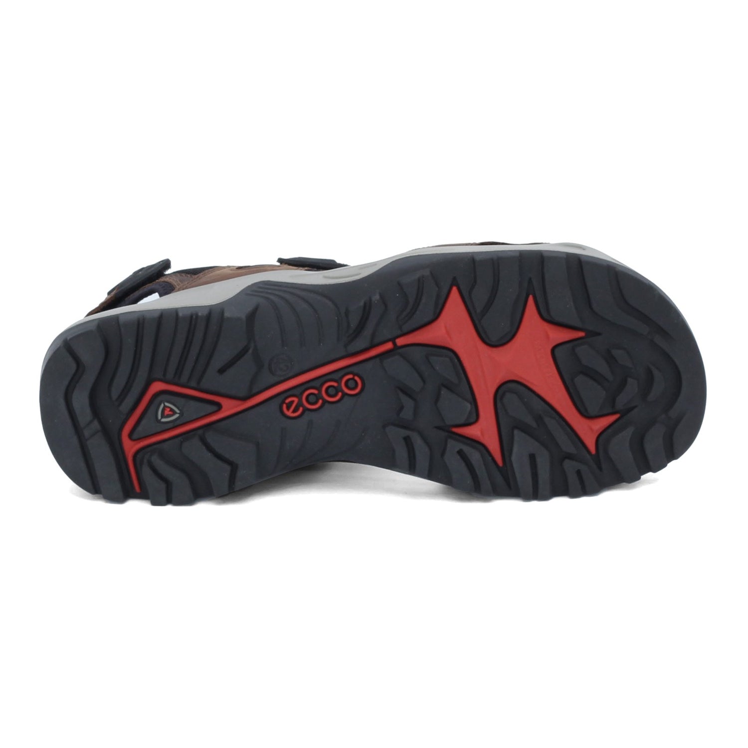 Peltz Shoes  Men's Ecco Yucatan Sandal