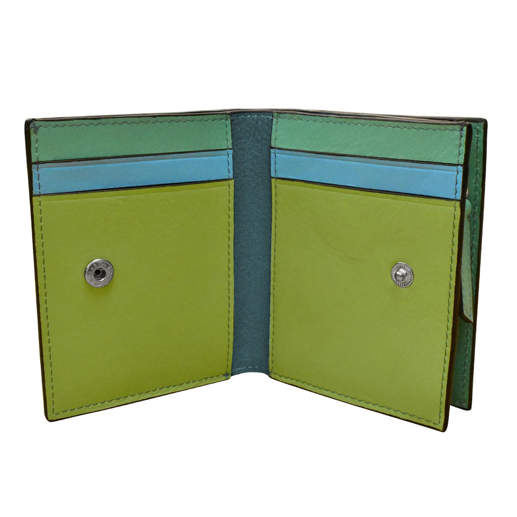 Women's ILI, RFID Blocking Small Snap Wallet