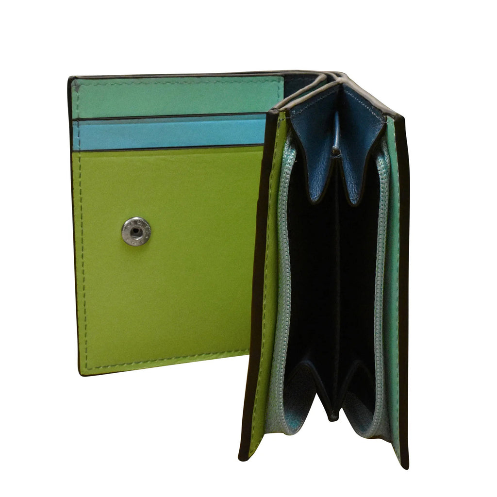 Women's ILI, RFID Blocking Small Snap Wallet