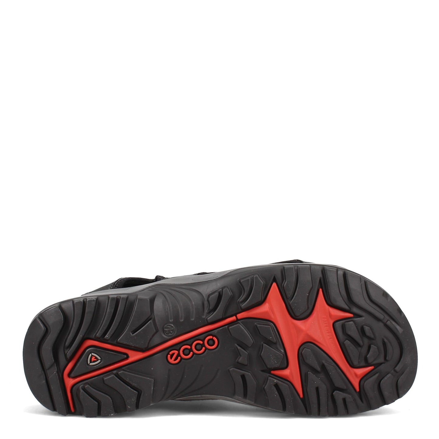Peltz Shoes  Men's Ecco Offroad Andes II Sandal BLACK 822044-12001