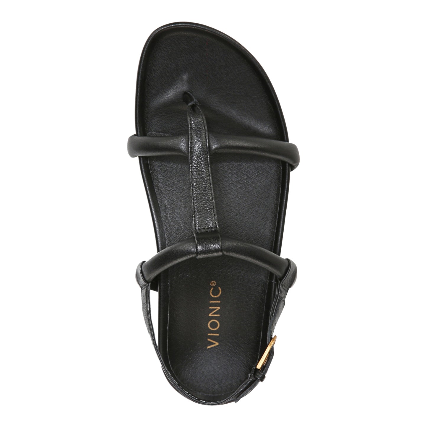 Peltz Shoes  Women's Vionic Adley Sandal BLACK I4701L1001
