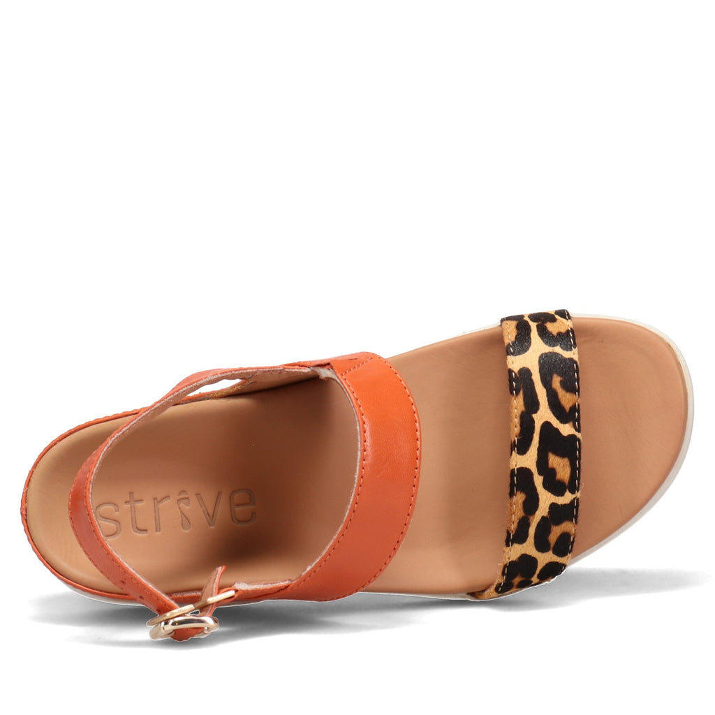 Women's Strive, Lucia Sandal