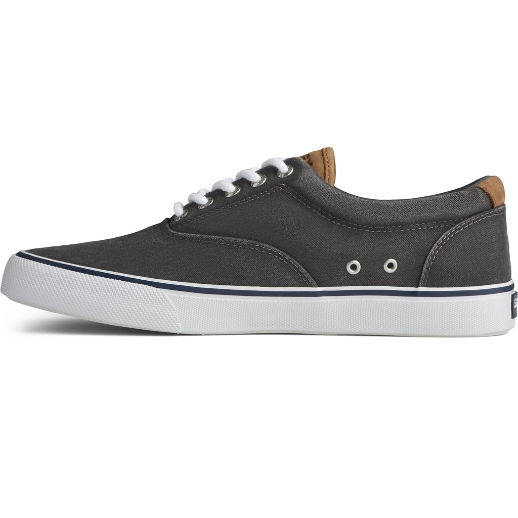 Men's Sperry, Striper II CVO Sneaker