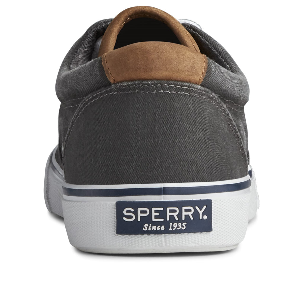 Men's Sperry, Striper II CVO Sneaker