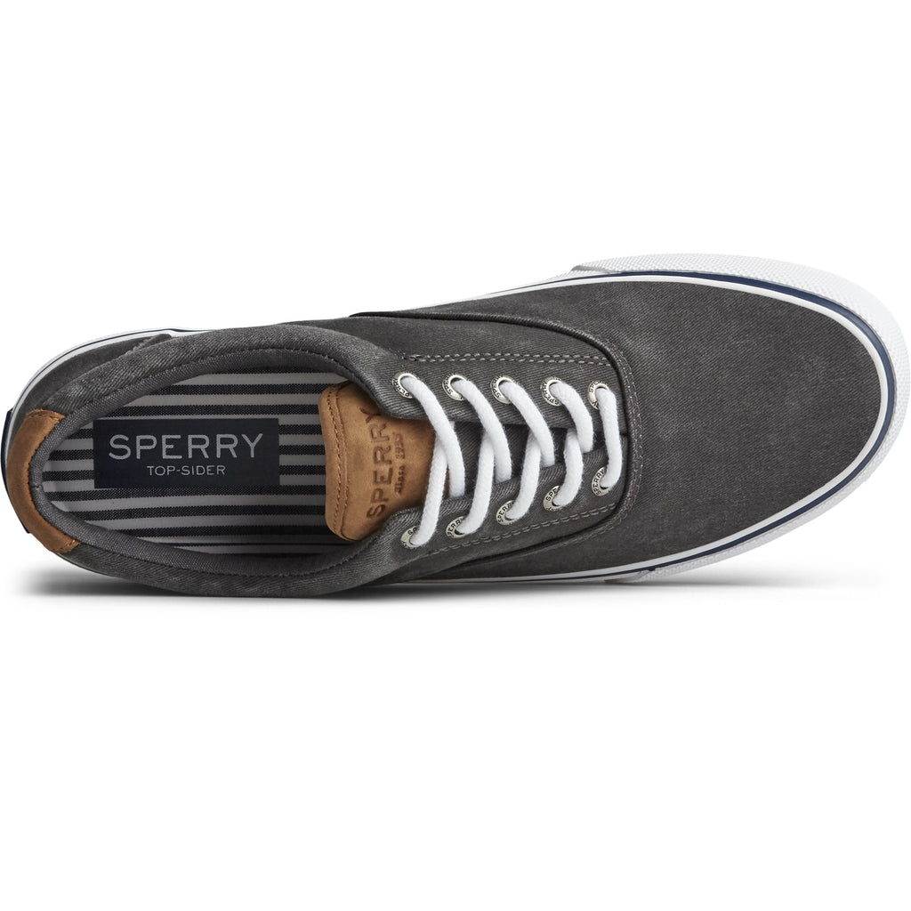 Men's Sperry, Striper II CVO Sneaker
