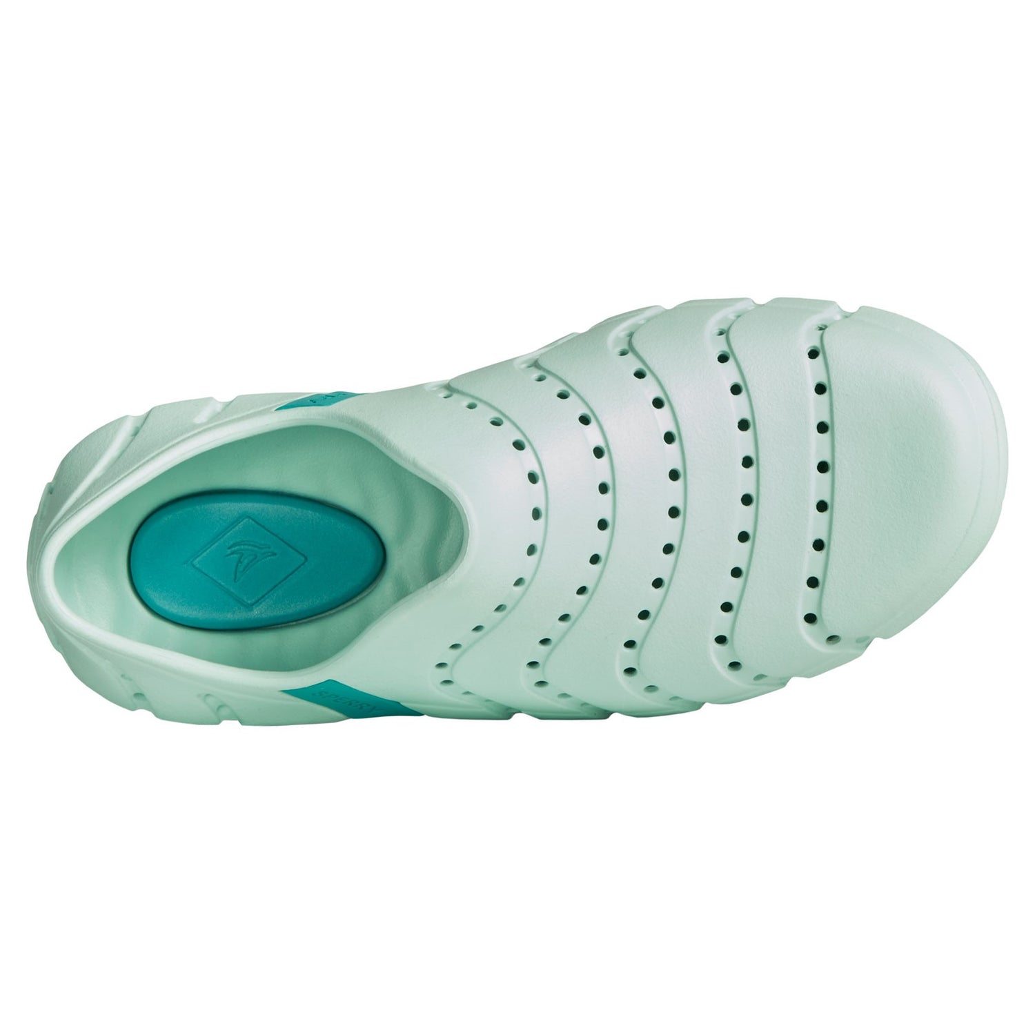 Peltz Shoes  Women's Sperry Water Strider Water Shoe BLUE STS87342