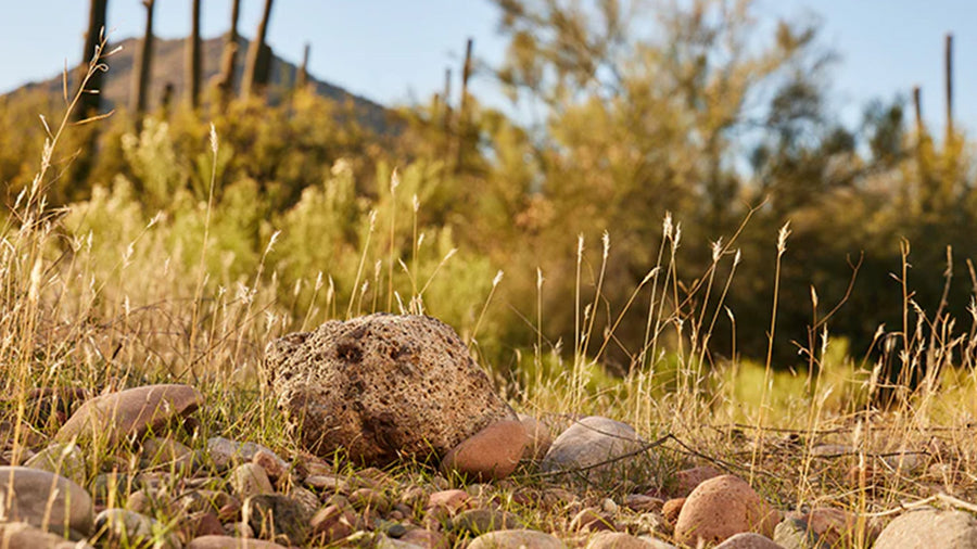 Eco conscious materials