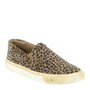 Peltz Shoes  Women's Chocolate Blu Noella Slip-On Sneaker